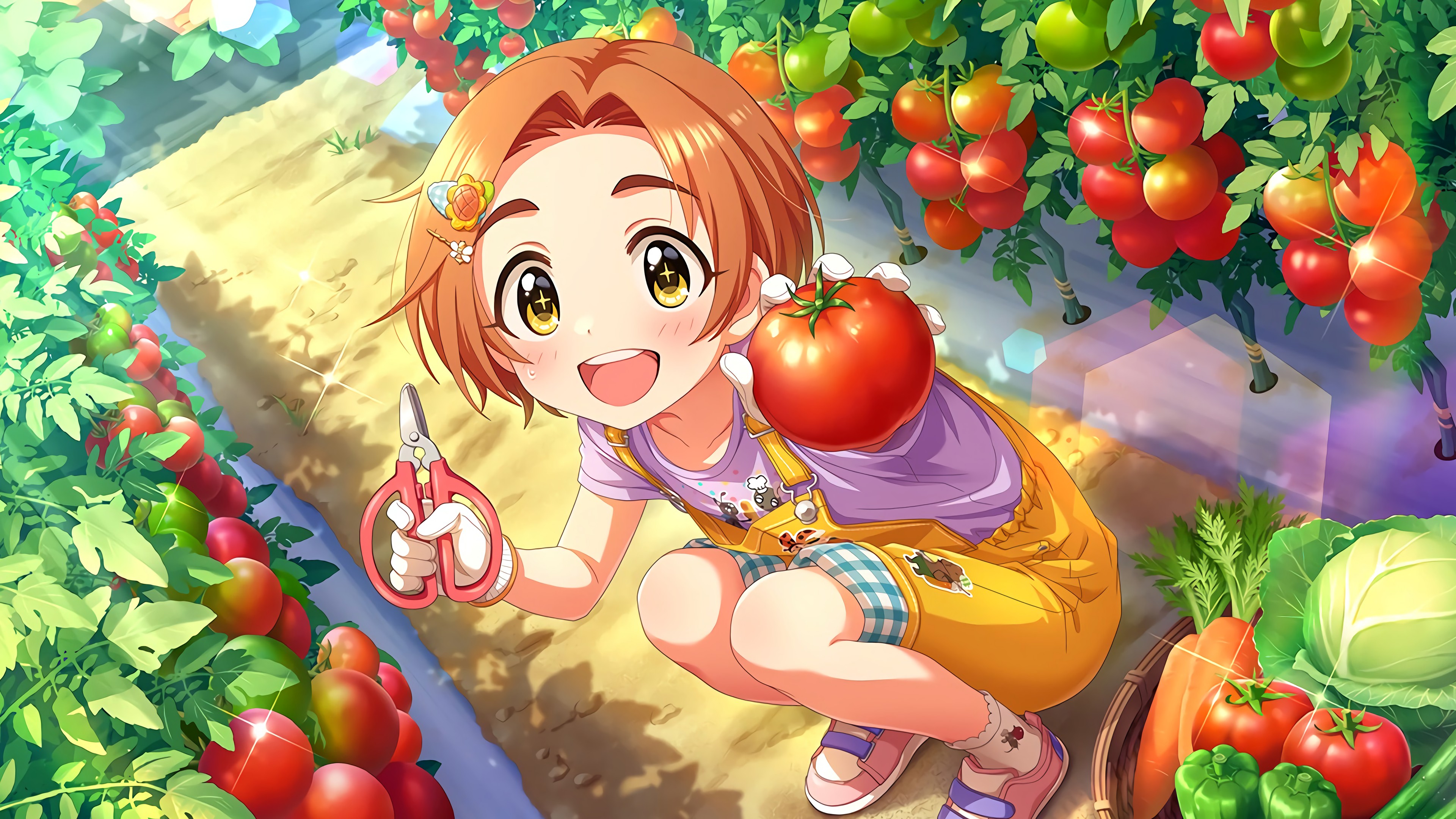 龍崎薫】たいようのガーデン【デレステ】 – 2次元女子の壁紙を