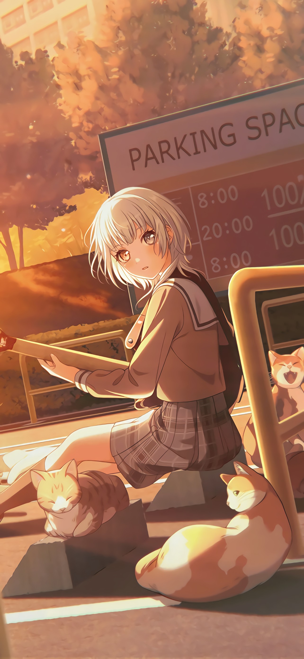 SP “コインパーキングの猫”要楽奈　 BanG Dream! 要楽奈】コインパーキングの猫 【バンドリ】 – 2次元女子の壁紙を